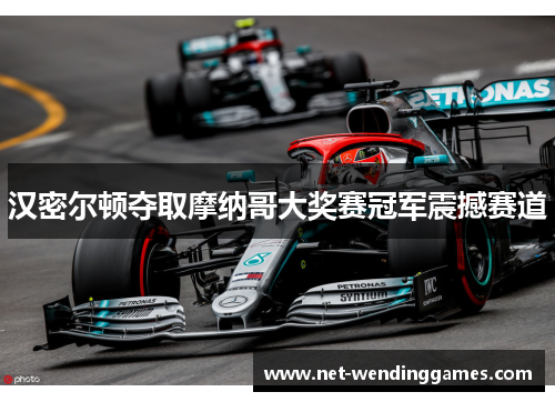汉密尔顿夺取摩纳哥大奖赛冠军震撼赛道 汉密尔顿夺取摩纳哥大奖赛冠军震撼赛道
