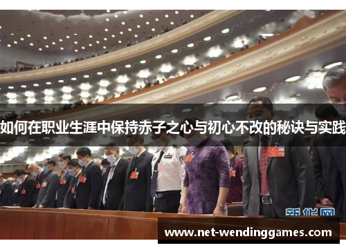 如何在职业生涯中保持赤子之心与初心不改的秘诀与实践