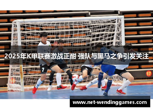 2025年K甲联赛激战正酣 强队与黑马之争引发关注