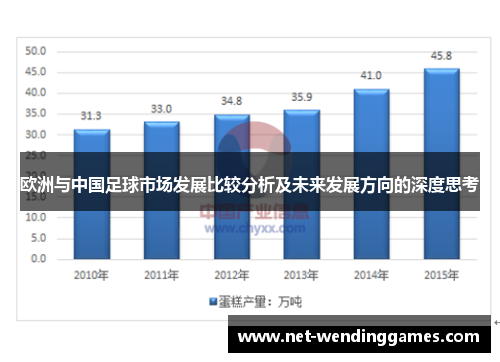 欧洲与中国足球市场发展比较分析及未来发展方向的深度思考