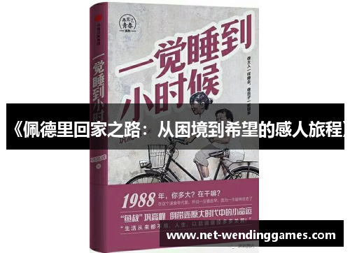 《佩德里回家之路：从困境到希望的感人旅程》