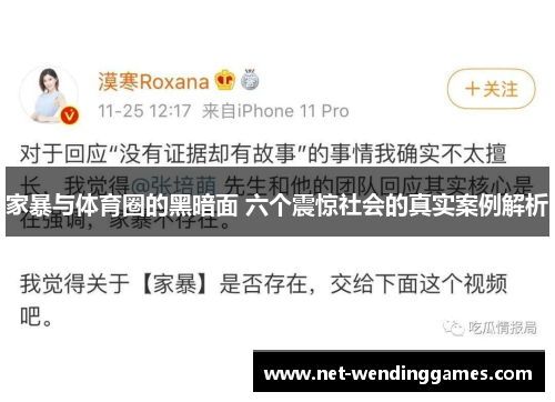 家暴与体育圈的黑暗面 六个震惊社会的真实案例解析