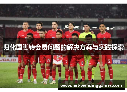 归化国脚转会费问题的解决方案与实践探索