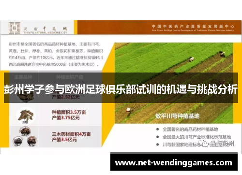 彭州学子参与欧洲足球俱乐部试训的机遇与挑战分析