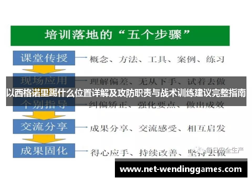 以西格诺里踢什么位置详解及攻防职责与战术训练建议完整指南