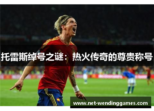 托雷斯绰号之谜：热火传奇的尊贵称号